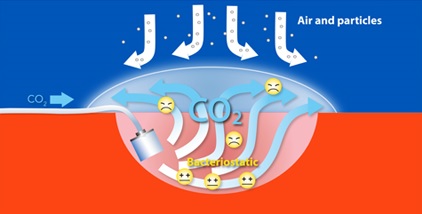 CO2-Diffuser-img