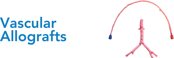 Vascular Allografts
