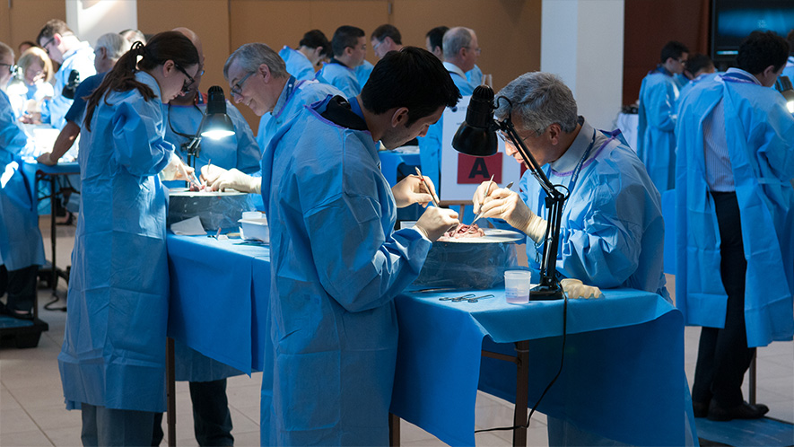 Aortic-Valve-Root-Boot-Camp-image Aortic Valve and Root Boot Camp