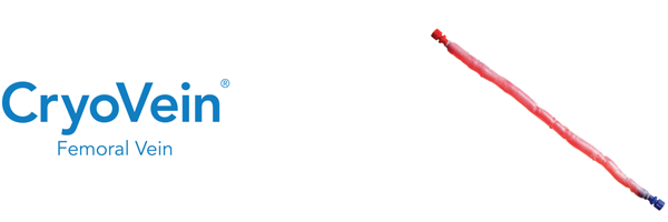 ProductHeader_FemoralVein_600x200 ProductHeader_FemoralVein_600x200
