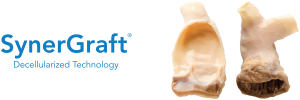 SynerGraft_ProductHeader_600x200 SynerGraft_ProductHeader_600x200