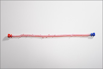image-CryoLife-Femoral-Artery CryoLife Femoral Artery