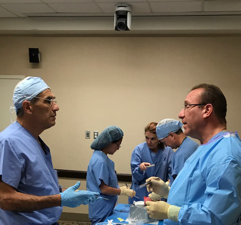 wet lab-Vincent Gaudiani-md-cropped wet lab-Vincent Gaudiani-md-cropped