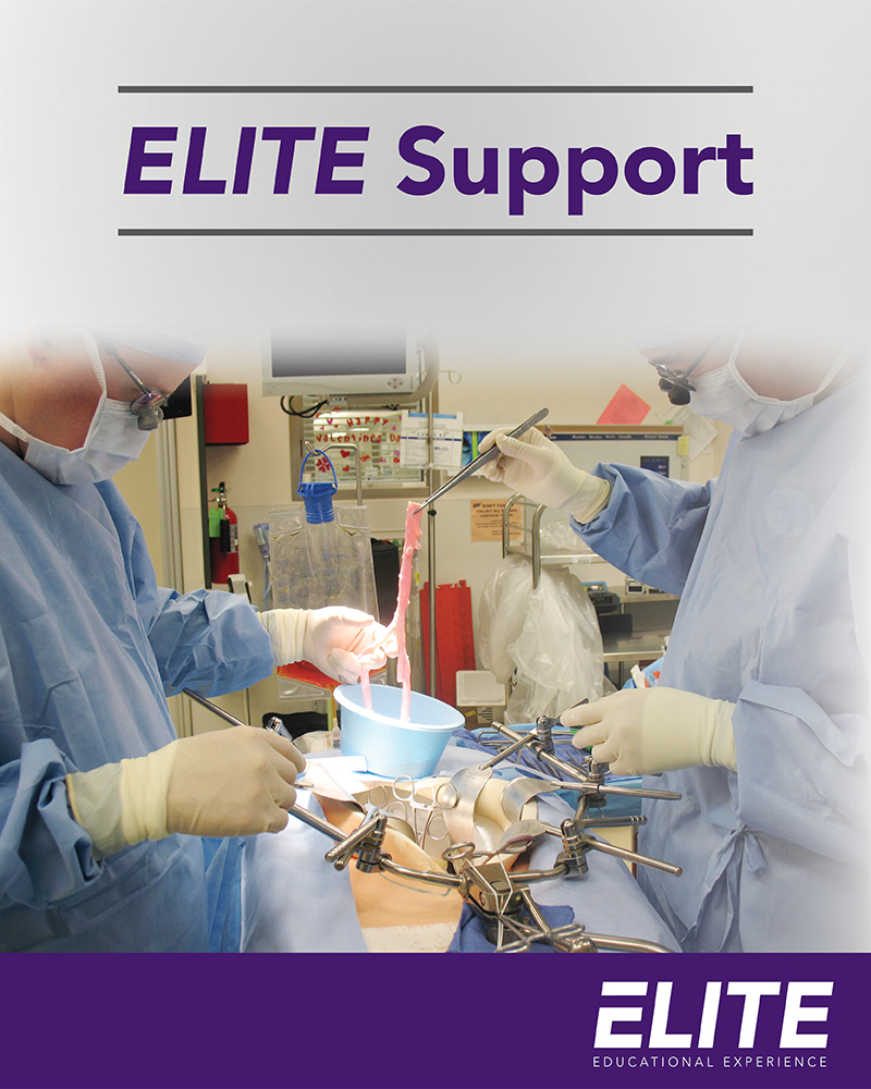 elite-support elite-support