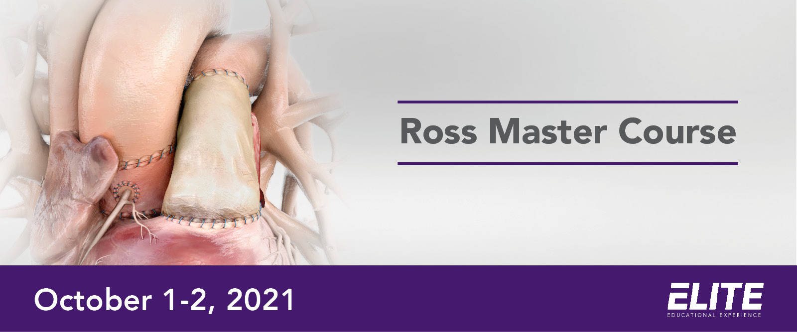 Ross Master Website Image Ross Master Website Image