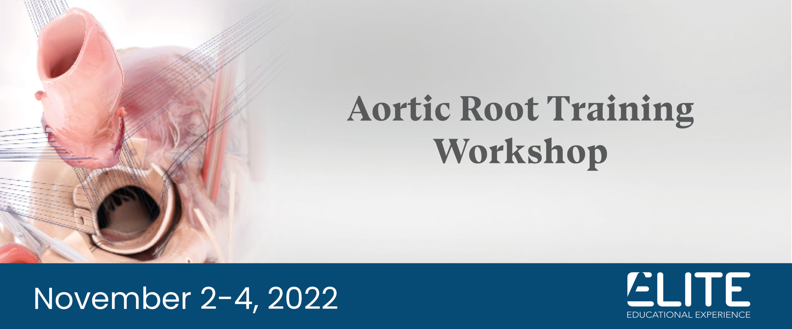 Hero_Elite-Additional-aorticroot Hero_Elite-Additional-aorticroot